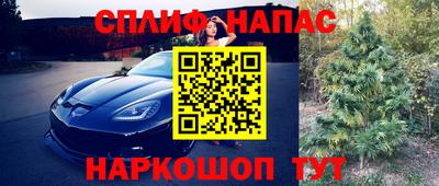 дмт Обнинск