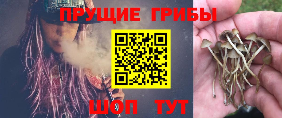 Галлюциногенные грибы мухоморы  Вход с VPN  купить   Ярославль 